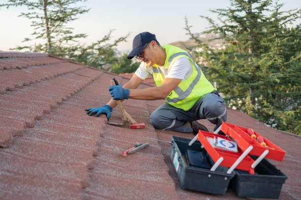 Roof Gutter Cleaning in Redstone Arsenal, AL